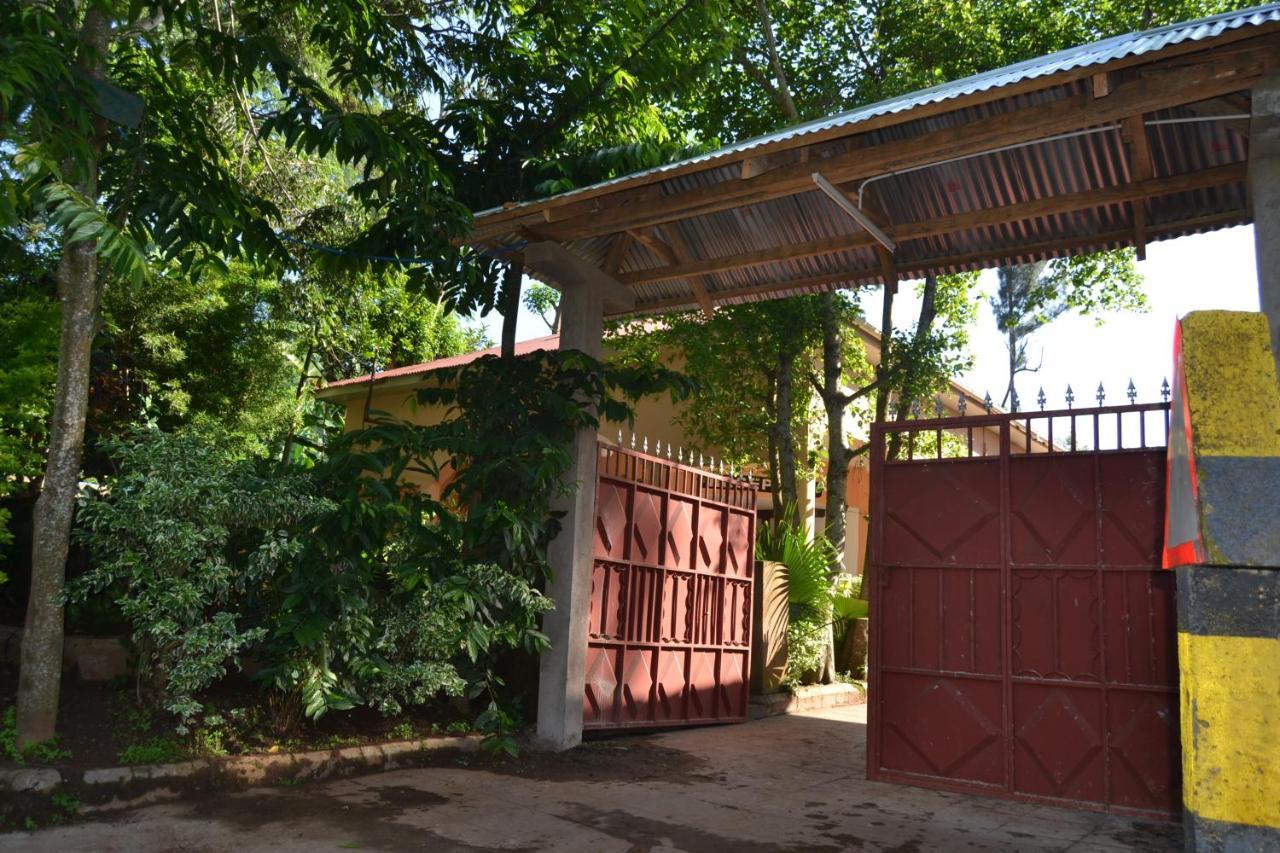 Serene Mountain Lodge Marangu Exterior foto