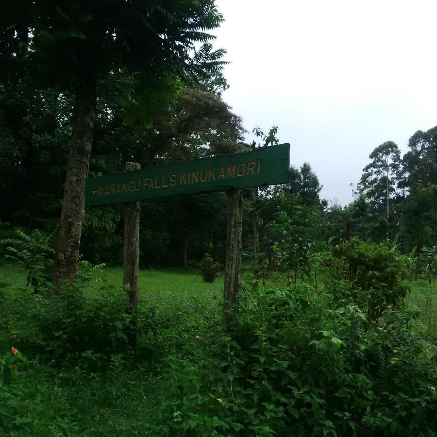 Serene Mountain Lodge Marangu Exterior foto