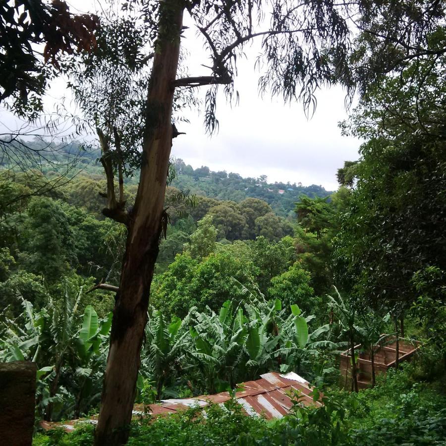 Serene Mountain Lodge Marangu Exterior foto